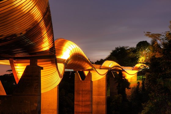Henderson Waves Bridge
