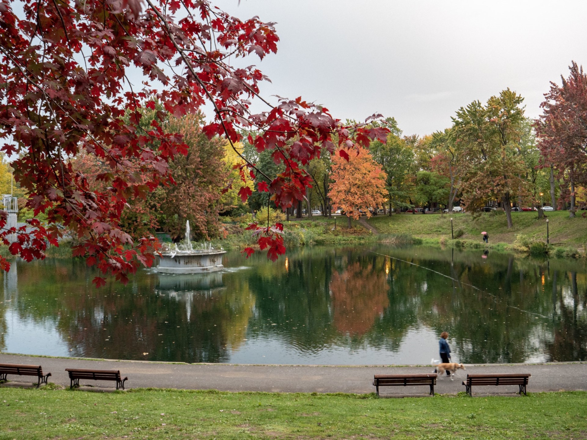 Lafontaine Park