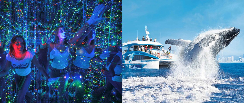 Featured Attractions: Infinity, and whale watching with Sea World Cruises